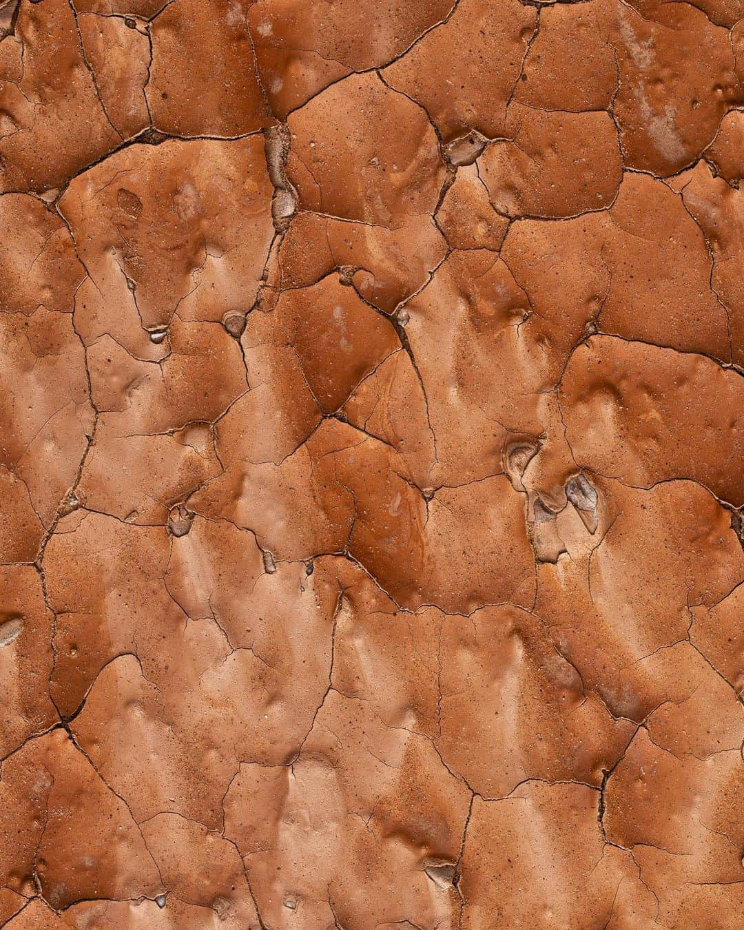 アンジー・ペインさんのインスタグラム写真 - (アンジー・ペインInstagram)「More moments, scenes and textures from Capitol Reef National Park. I spent two days in this park in May while shooting a project for @visitutah. It’s now very high on the list of places I’d like to return to.  • • • #macro #macrophotography #landscape #landscapephotography」7月2日 0時41分 - angelajpayne