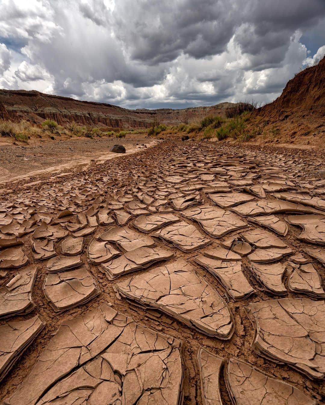 アンジー・ペインさんのインスタグラム写真 - (アンジー・ペインInstagram)「More moments, scenes and textures from Capitol Reef National Park. I spent two days in this park in May while shooting a project for @visitutah. It’s now very high on the list of places I’d like to return to.  • • • #macro #macrophotography #landscape #landscapephotography」7月2日 0時41分 - angelajpayne