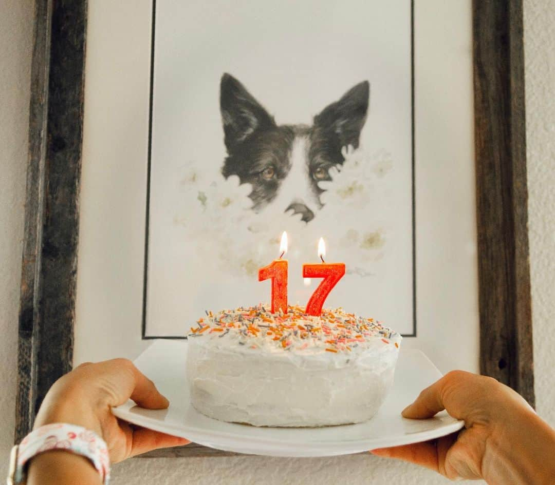 Jazzy Cooper Fostersさんのインスタグラム写真 - (Jazzy Cooper FostersInstagram)「Happy 17th birthday Jazzy BooBoo.  When she passed, Kyle suggested that we make her birthday our family holiday. I loved that idea. 😌I made a keto/dog friendly birthday cake to celebrate her existence and to keep her memory alive. 💜💝🎂 Art by Ryan Tinnerman」7月2日 1時10分 - bordernerd