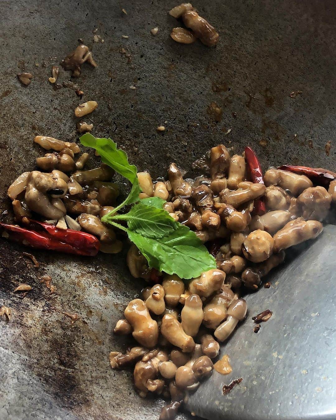 Amata Chittaseneeさんのインスタグラム写真 - (Amata ChittaseneeInstagram)「Lock Down Food Diary: mushroom cultivation at home. กู้ดมอร์นิ่งค๊าาาาาาาาาา ผัดกะเพราเห็ดโคนน้อยทานกับข้าวสวยร้อนๆ คู่กับไข่ดาวกรอบๆ เก็บเห็ด เก็บพริก เก็บใบกะเพราจากบ้านเล็กๆของเรา 🥰😋 สนุกที่ได้ดูการเติบโต อิ่มใจเมื่อได้ทานผลผลิตของเราเอง #pearypiegoesgreen #Thaidish #gaprao #kraprao」7月2日 11時05分 - pearypie
