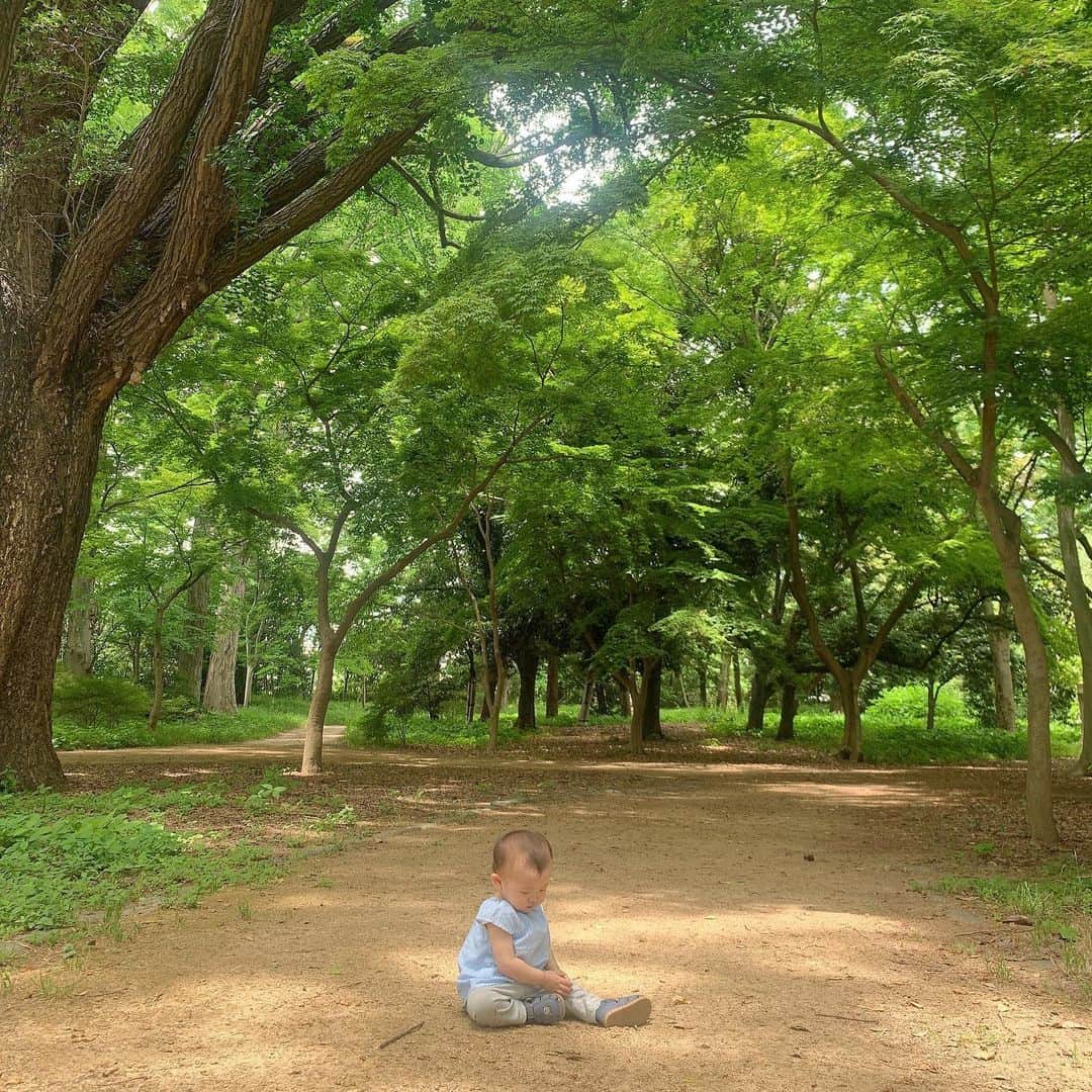 澤野井香里さんのインスタグラム写真 - (澤野井香里Instagram)「ヨチヨチ歩きなMと公園へ♪  すぐこけちゃうし、座り込んじゃうし、石ころ食べちゃうし目が離せないけど今しかないこの歩き方＾＾ #松ぼっくり　が大好きで集めてあげると喜んでくれたけど、置いて帰ろうとすると家に持って帰ると泣いてしまって根負け^^;  大好きなブランコもたくさん乗って、砂場ではひたすら私のスニーカーに砂をかける遊びに夢中。。。🙄  たくさん遊んだからぐっすりお昼寝してくれた🐤💤  公園毎日行きたいのに、最近鳥に狙われてよく荷物漁られたり食べ物取られたりするから怖いー💔  #ks_20✨#👶 #1歳 #1歳4ヶ月　#娘 #ベビフル #ママリ #コドモノ #関西ママ #京都ママ #女の子ママ #ママライフ #京都　　#公園　#ks_dau #ks_dau_2020  #M🍒_」7月2日 10時59分 - kaori_sawanoi