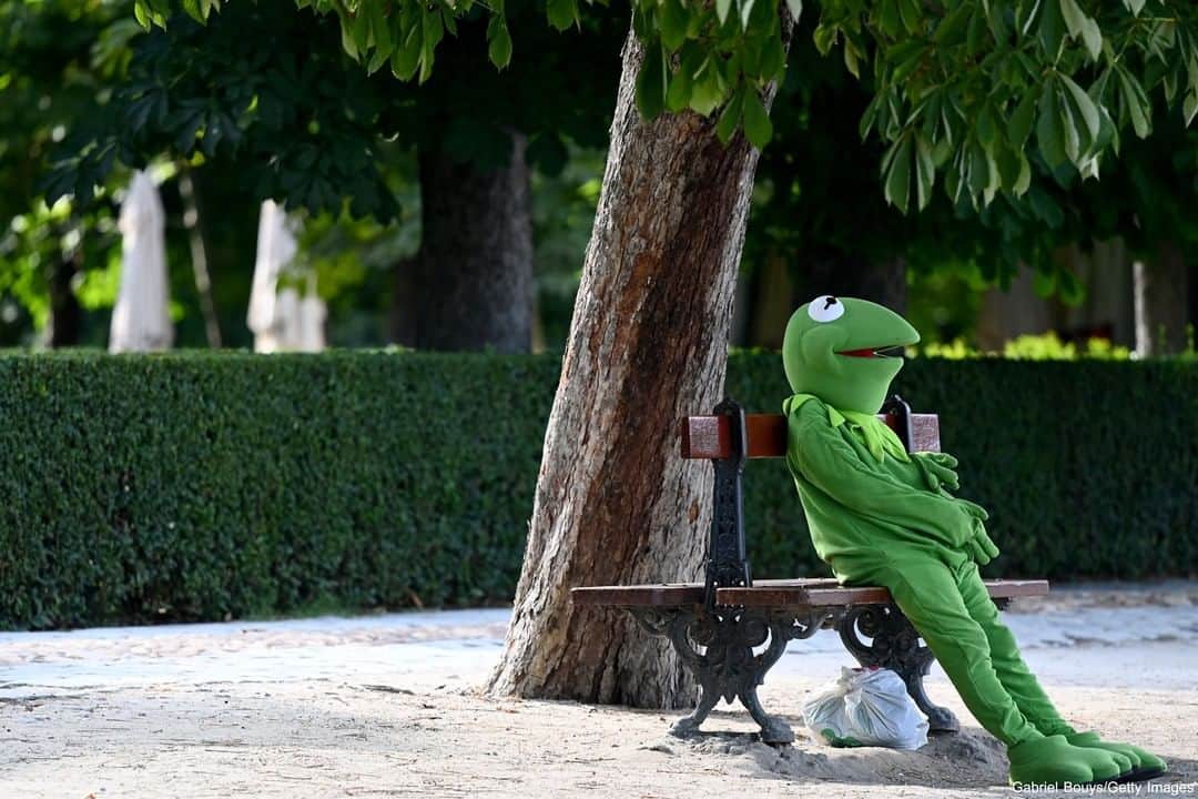 ABC Newsさんのインスタグラム写真 - (ABC NewsInstagram)「A person dressed as Kermit the Frog sits on a bench while waiting for a tip at the Retiro Park in Madrid, Spain. #kermit #park #spain」7月2日 11時00分 - abcnews