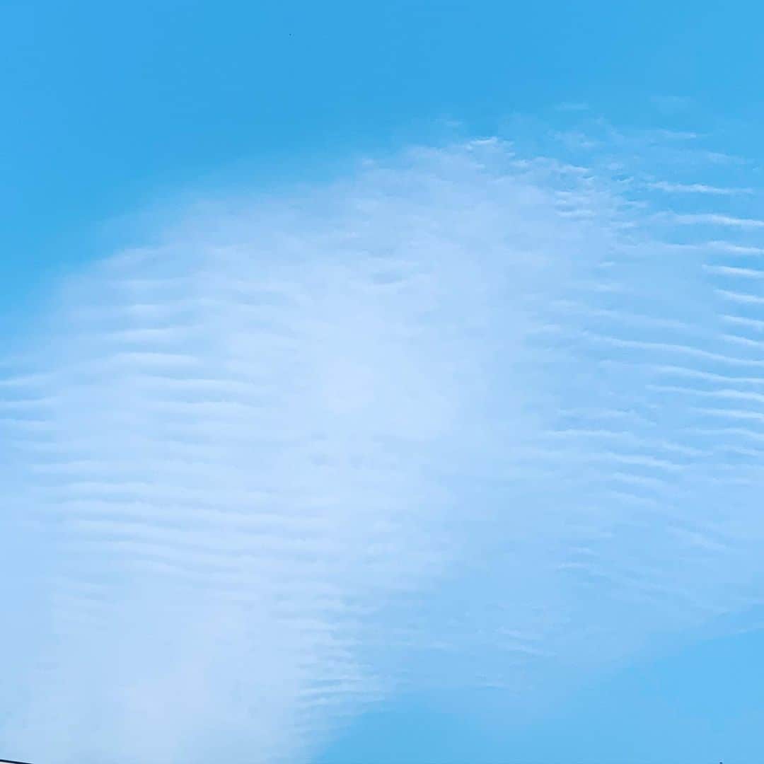 ゆまさんのインスタグラム写真 - (ゆまInstagram)「。 。 全然今日じゃないんだけどね 。 。 。 この雲あばら骨みたいだなーって 思って撮ったんだけど どう(*´-`)??? 。 。 自分の顔ばっかりつまんないから 写真とったやつもどんどん 載せていこうと思うっ 。 。 。 #ゆまちゃんねる #雲 #ポートレート #屋外」7月2日 11時22分 - yumananoda