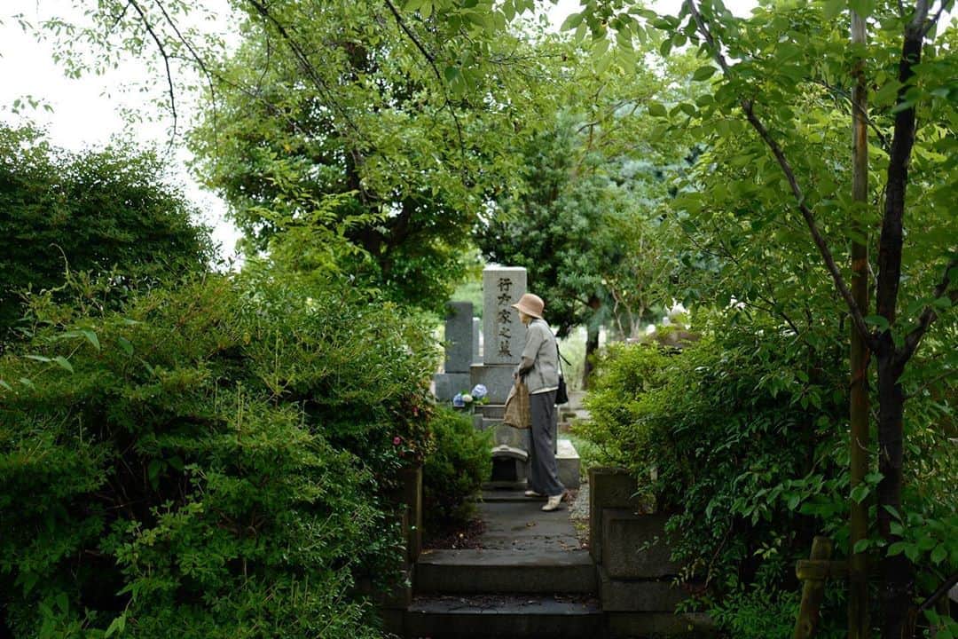 行方 久子 Hisako Namekataさんのインスタグラム写真 - (行方 久子 Hisako NamekataInstagram)「. 祖母とお墓参りにやっと行けた。  手入れが大変すぎてお手上げ状態！ お墓に木を植えたらダメねーと言いながらも、 わたしはこのわさっとした感じが嫌いではない。  わたしの美意識は、祖母への憧れから。 わたしの天然部分は祖父から。 大雑把さは母から、 社会適応性の無さは父から。笑」7月2日 11時36分 - hisakonamekata