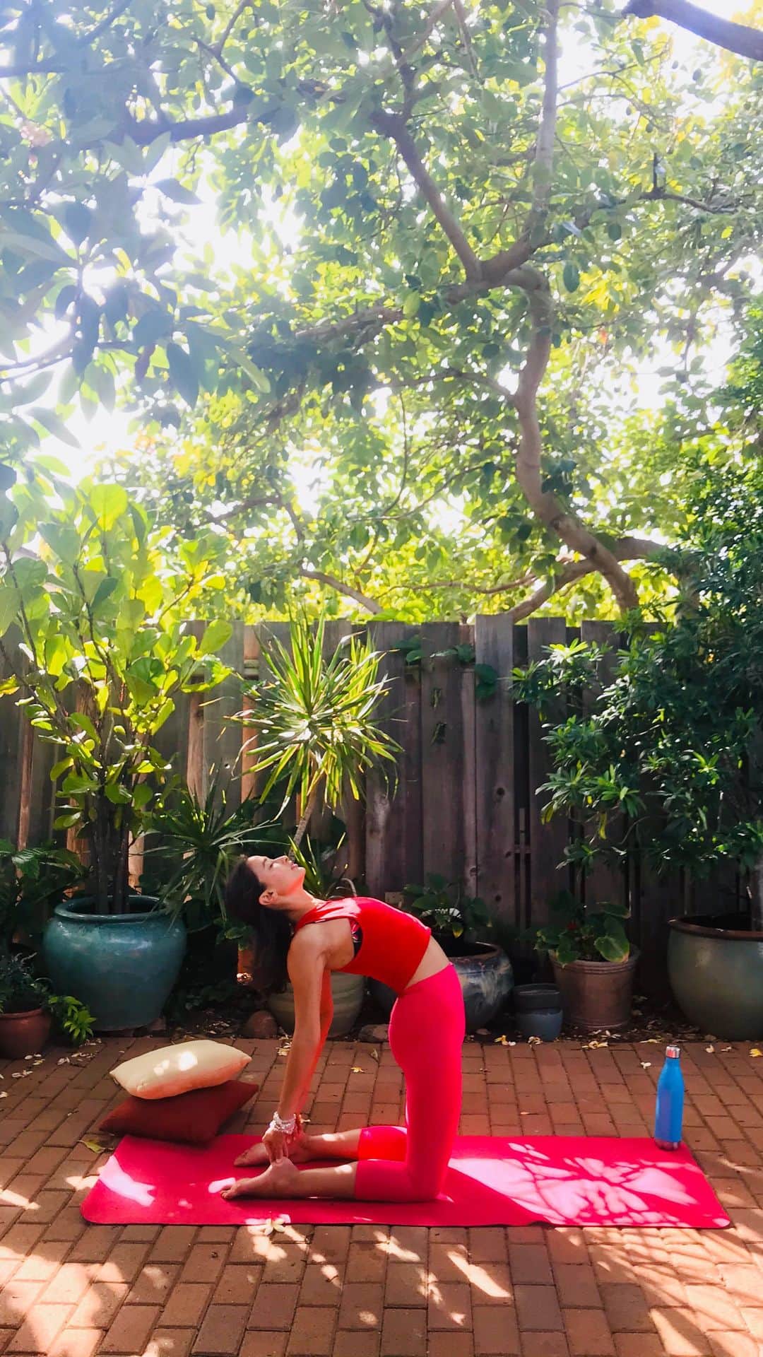 のインスタグラム：「Hi everyone! Thank you so much for joining me during these live yoga classes~ I have been having so much fun being able to move with you.   Here is the class from 2 weeks ago and since it was a 75 min class, I uploaded it to YouTube for you to rewatch! I have put the #linkinmybio 🙏🥰🙏 Hope to see you there~  Last week I was up on the mountain with weak cellphone reception and no WiFi so I wasn’t able to go online. It felt so good to be busy in nature!   I’m back in the city now so I’ll be hosting another class this Friday or Saturday depending on your location 😉  Sending lots of love to you and a gentle reminder that you are enough. Xoxo, Mel」