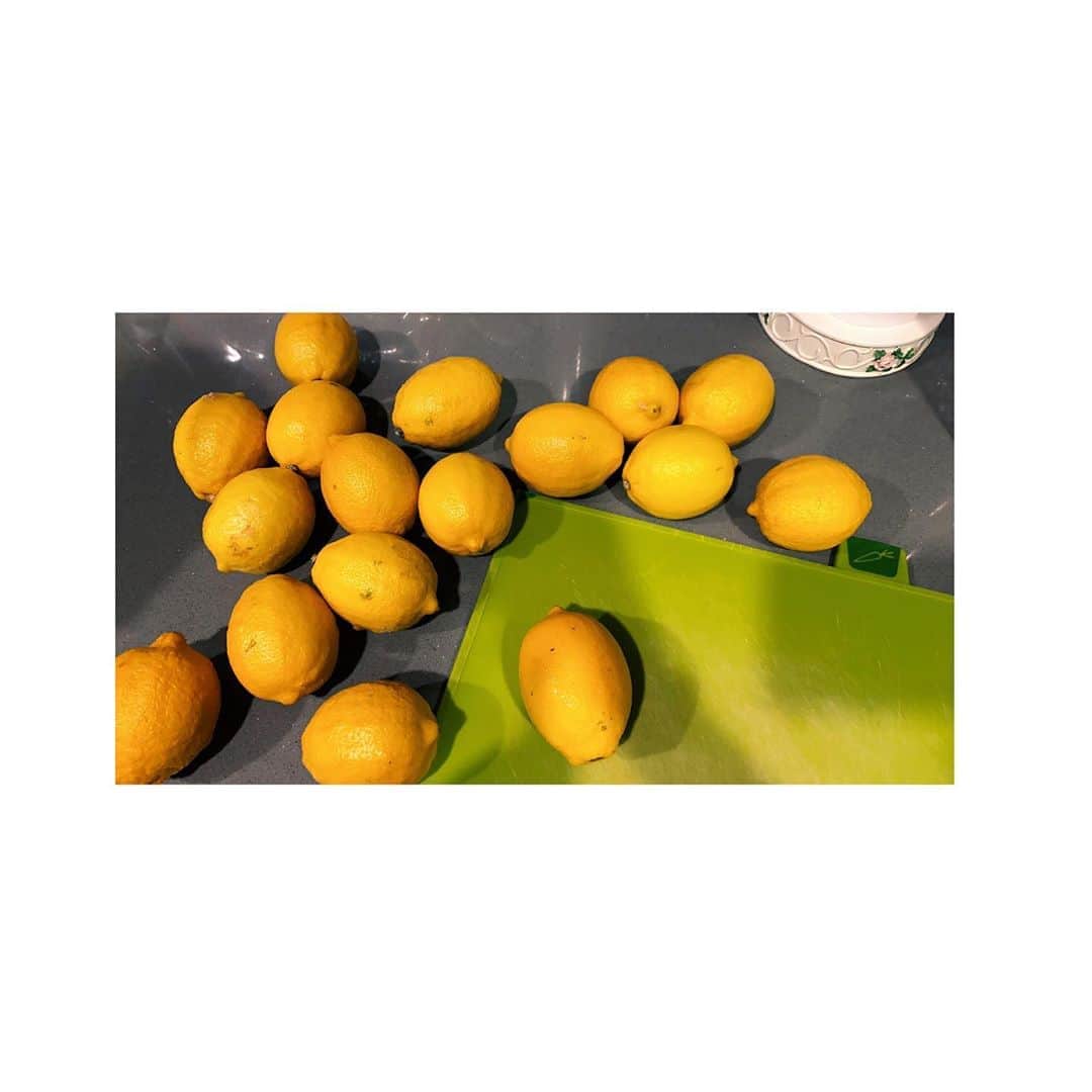 福原愛さんのインスタグラム写真 - (福原愛Instagram)「たくさんレモンをいただいたのでシロップを作ってみました🍋 1週間後が楽しみ🍹(〃ω〃)💛 收到了很多的檸檬🍋 做檸檬糖漿🍋 期待一個禮拜後🍹(о´∀`о)💛 #lemonsyrup🍋」7月2日 11時48分 - aifukuhara9113