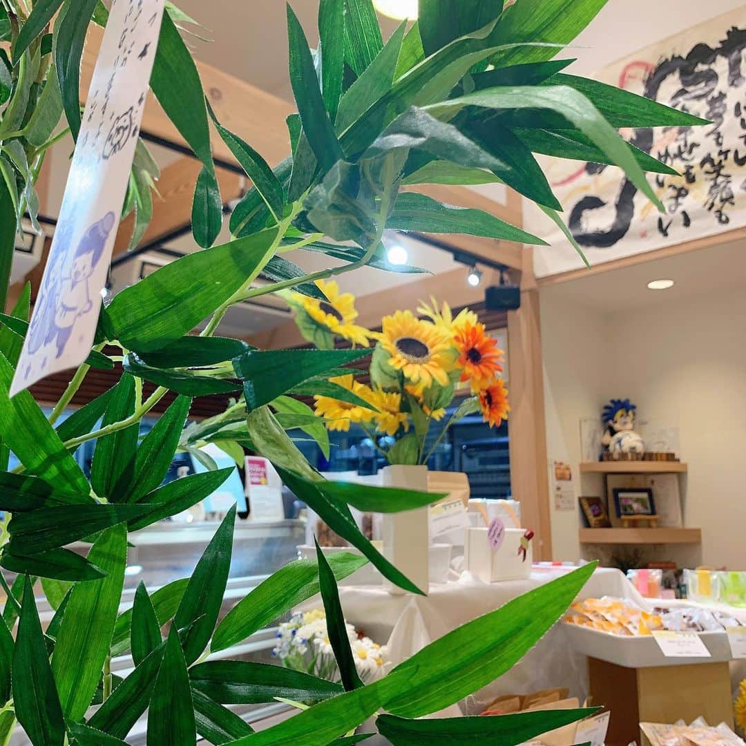 箕面 マカロン ワイスタイルのグルメインスタ