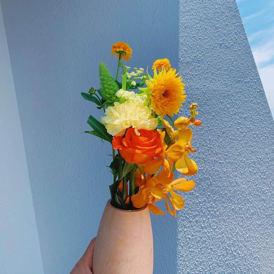 わちみなみのインスタグラム：「﻿ かっちりしたかたちの花が好きだったけど﻿ ﻿ 野生の草！みたいなのも﻿ かわいいと思えた☺ ️ ﻿ 今の気分はおれんじ〜黄色〜🐧﻿ ﻿ #わちみどり﻿ #花のある暮らし」