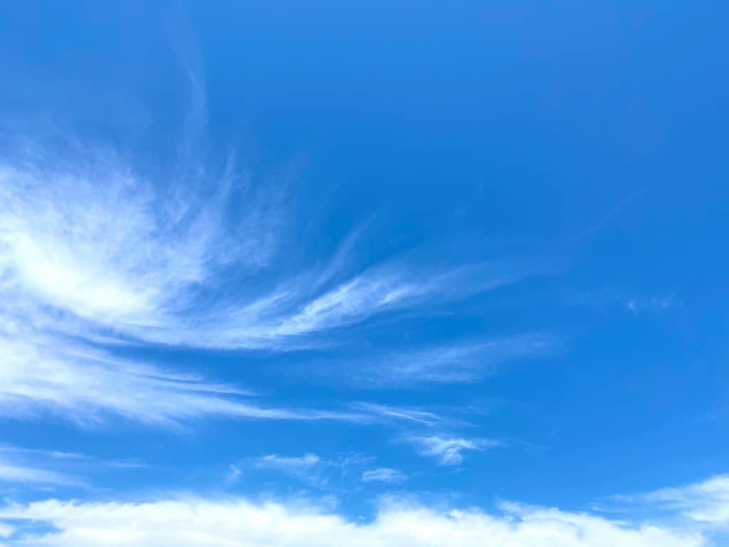 倉田雅世さんのインスタグラム写真 - (倉田雅世Instagram)「‪いいお天気。‬ ‪風が吹いている　ね。‬ ‪#青空 ‬ ‪気持ちいい。‬ ‪いってきまーす。‬」7月2日 11時55分 - kuralamune