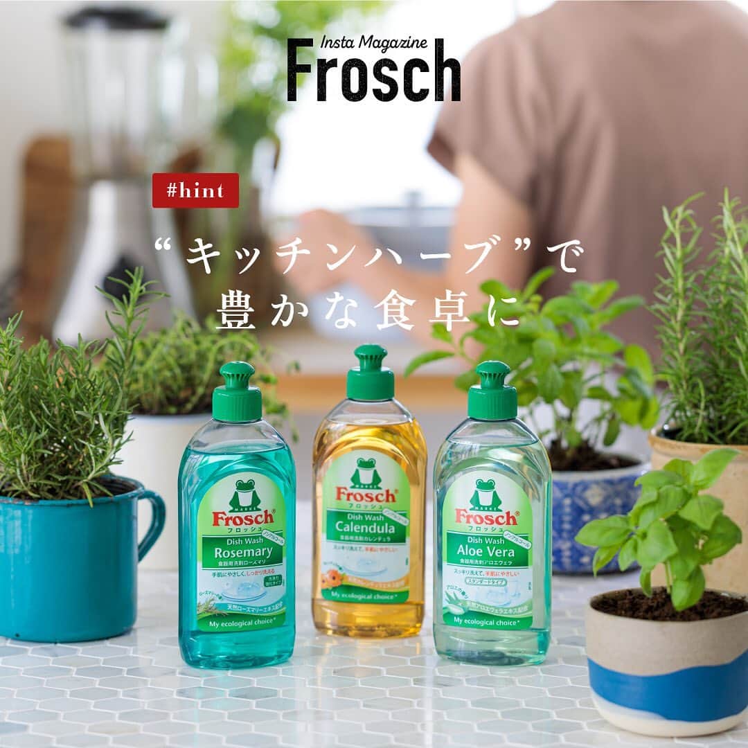 のインスタグラム：「バジルやミント、ローズマリーといった、お料理やドリンクに大活躍するハーブ🌿 スーパーなどで購入すると、量が多くて使いきれなかったという経験がありませんか？ キッチンで育てて、使いたい時に使いたい分だけさっと収穫できたら便利ですよね。  バジルは、トマトソースパスタやカプレーゼ、ガパオライスといった、イタリアンからエスニック料理まで幅広く大活躍。 爽やかな香りのスペアミントは、ドリンクやデザートの飾り付けや、生の葉にお湯を注いでミントティーにも。 ローズマリーやタイムは、お肉やお魚の臭い消しや香りづけによく使われます。  ハーブは丈夫で育てやすいので、気軽に栽培が始められるのも嬉しい点。植木鉢でなくても、大きめのマグカップや器などお気に入りのものに植えれば、インテリアとしても楽しめます。  屋内園芸用の培養土を選んだり、底に穴がない容器に植える場合は根腐れ防止剤を鉢底に敷いたり、1日1回日光に当ててあげたりすると、屋内でも元気に育ってくれます。  ハーブがちょっとあるだけで、いつもの食卓が華やかになり気持ちも豊かに。ぜひチャレンジしてみてください🤗  #グリーン #植物のある暮らし #グリーンインテリア #インテリア #ハーブ #ハーブのある暮らし #植物好き #地球にやさしい #サスティナブル #sustainable #エシカル #丁寧な暮らし #SDGs #エコ #eco #自然にやさしい #手肌にやさしい #食器用洗剤 #フロッシュのある暮らし #フロッシュ #Frosch #おうち時間 #おうちじかん」