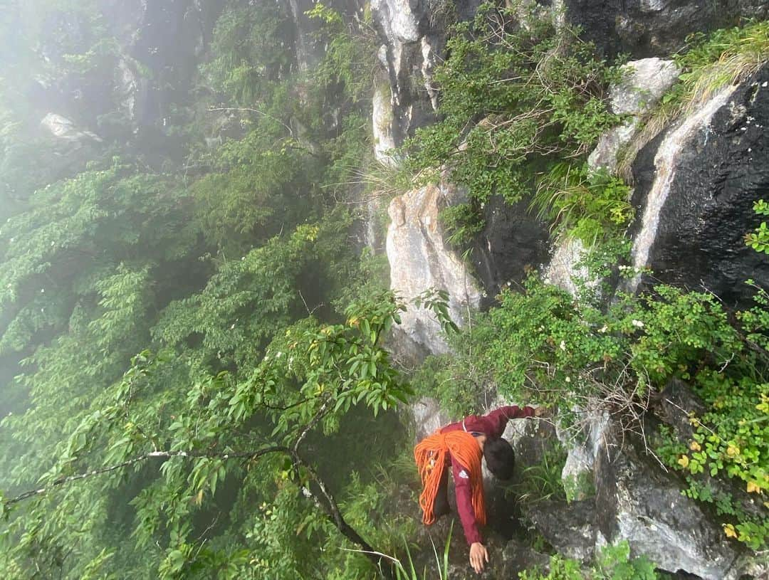 平山ユージさんのインスタグラム写真 - (平山ユージInstagram)「梅雨の晴れ間に皆んなで岩場整備&開拓、二子山の新しい岩を探し山の中に入ると僕らの気付かなかった未知なる二子山に出会えた気がする。  山はまだまだ深く、まっさらな壁に幾つか出会う事が出来た。楽しみもさらに広がる時間だった。  @thenorthfacejp  @beal.official  @blackdiamond  @climbskinspain  @basecamponlineshop @oganoclimbing  @shinnikan  #小鹿野町観光大使 #oganoic #mtfutago #二子山　#小鹿野町  #driveless #sleepmore #climbmore #neverstopexploring」7月2日 12時09分 - yuji_hirayama_stonerider