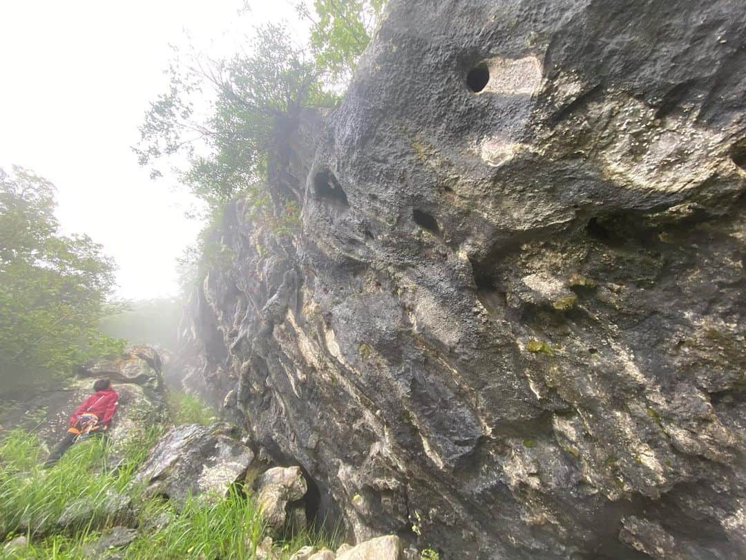 平山ユージさんのインスタグラム写真 - (平山ユージInstagram)「梅雨の晴れ間に皆んなで岩場整備&開拓、二子山の新しい岩を探し山の中に入ると僕らの気付かなかった未知なる二子山に出会えた気がする。  山はまだまだ深く、まっさらな壁に幾つか出会う事が出来た。楽しみもさらに広がる時間だった。  @thenorthfacejp  @beal.official  @blackdiamond  @climbskinspain  @basecamponlineshop @oganoclimbing  @shinnikan  #小鹿野町観光大使 #oganoic #mtfutago #二子山　#小鹿野町  #driveless #sleepmore #climbmore #neverstopexploring」7月2日 12時09分 - yuji_hirayama_stonerider