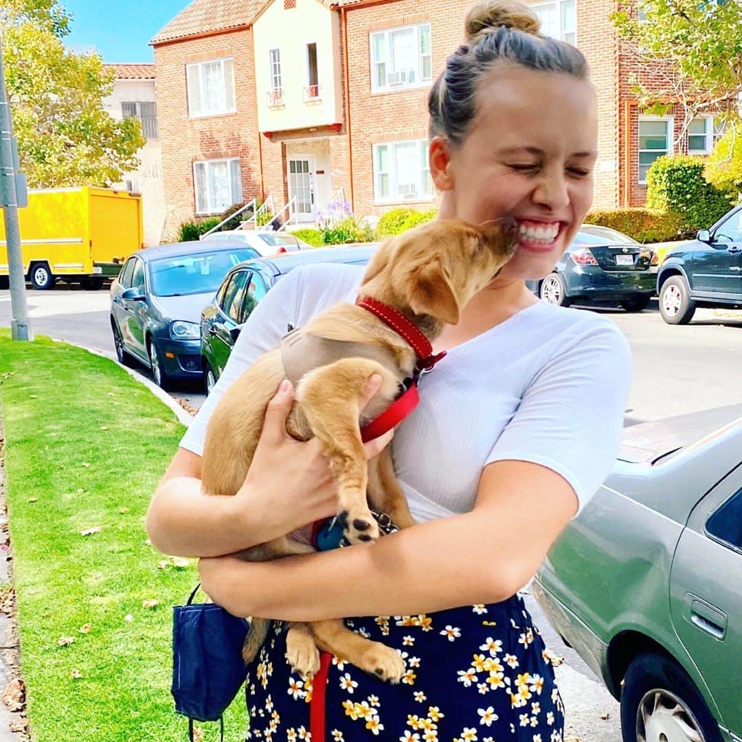グレイシー・ドジーニーのインスタグラム：「Nellie Sue the diva pup❣️ #niecelove」