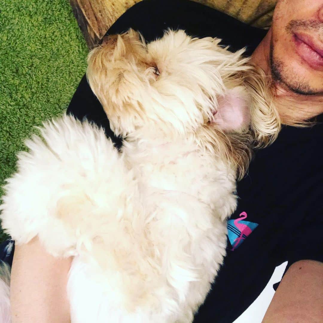 北山陽一のインスタグラム：「おやすみなさい。#きたやまおもち」