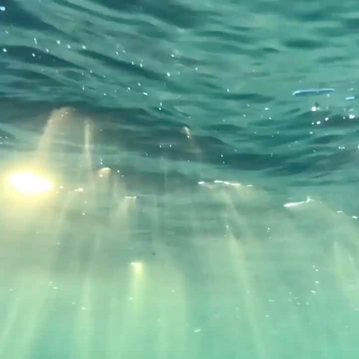 のインスタグラム：「How the light gets in 🌊  Videography  @ryanpernofski Music  @labyrinthsongs ‘green pastures’ Curated by @steffeneisenacher  #waves #slowmotion #underater #underwaterphotography #lightrays」