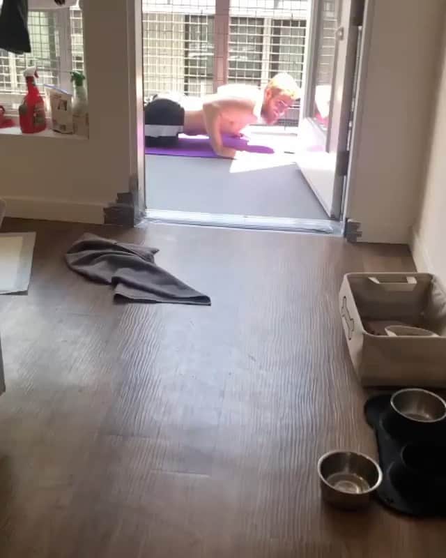 DogsOf Instagramのインスタグラム：「“Kona helping the workout! +7.1 lbs of pure corgi to her papas (pulse) pushups. btw he didn’t do full reps cause she wouldn’t be able to climb and stay on” writes @konabean.corgi   #dogsofinstagram」