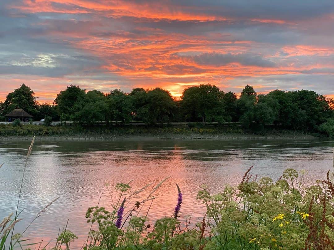 布袋寅泰さんのインスタグラム写真 - (布袋寅泰Instagram)「この美しさをなんと喩えよう。It was breathtakingly beautiful sunset. #london #時よ止まれ# sunset」7月2日 6時10分 - hotei_official