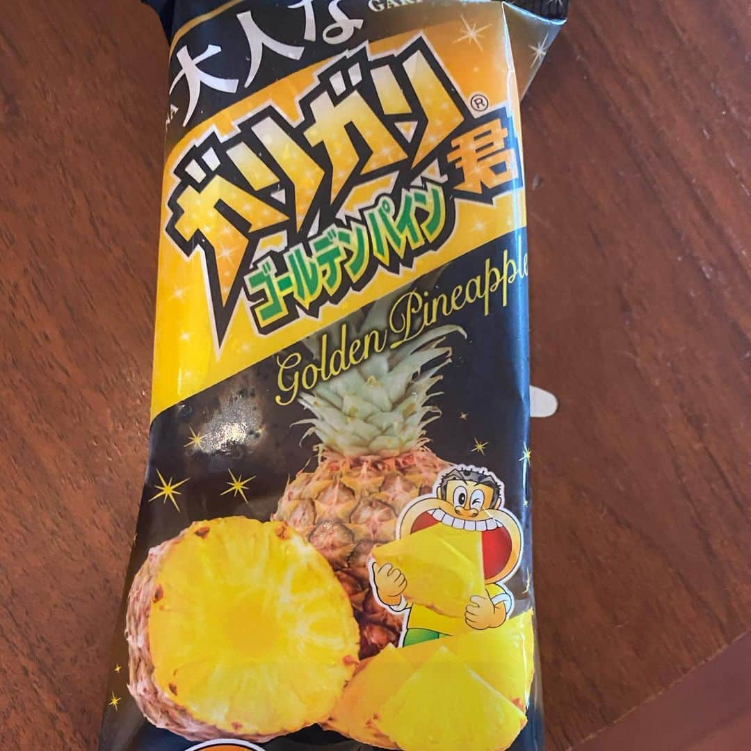 猫ひろしさんのインスタグラム写真 - (猫ひろしInstagram)「夏は走った後はガリガリ君。  パイン味  美味しいニャー」7月2日 7時00分 - cat_hiroshi