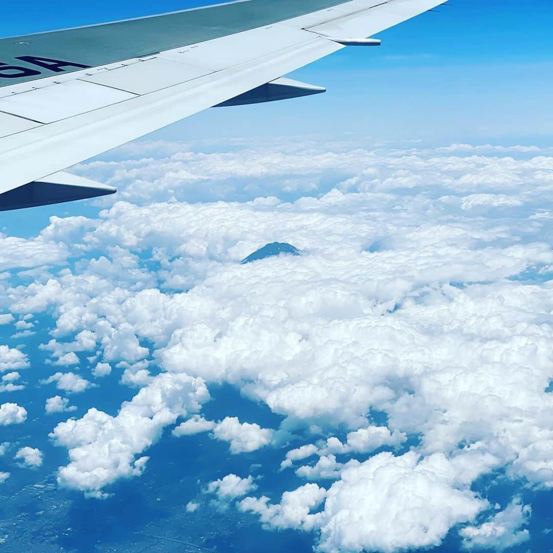 大宮エリーさんのインスタグラム写真 - (大宮エリーInstagram)「先日の飛行機✈️からの富士山🗻 頭を雲の上に出し〜♪」7月2日 12時37分 - ellie_omiya