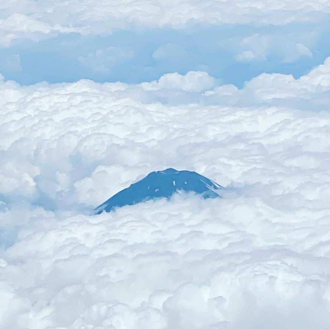 大宮エリーさんのインスタグラム写真 - (大宮エリーInstagram)「先日の飛行機✈️からの富士山🗻 頭を雲の上に出し〜♪」7月2日 12時37分 - ellie_omiya