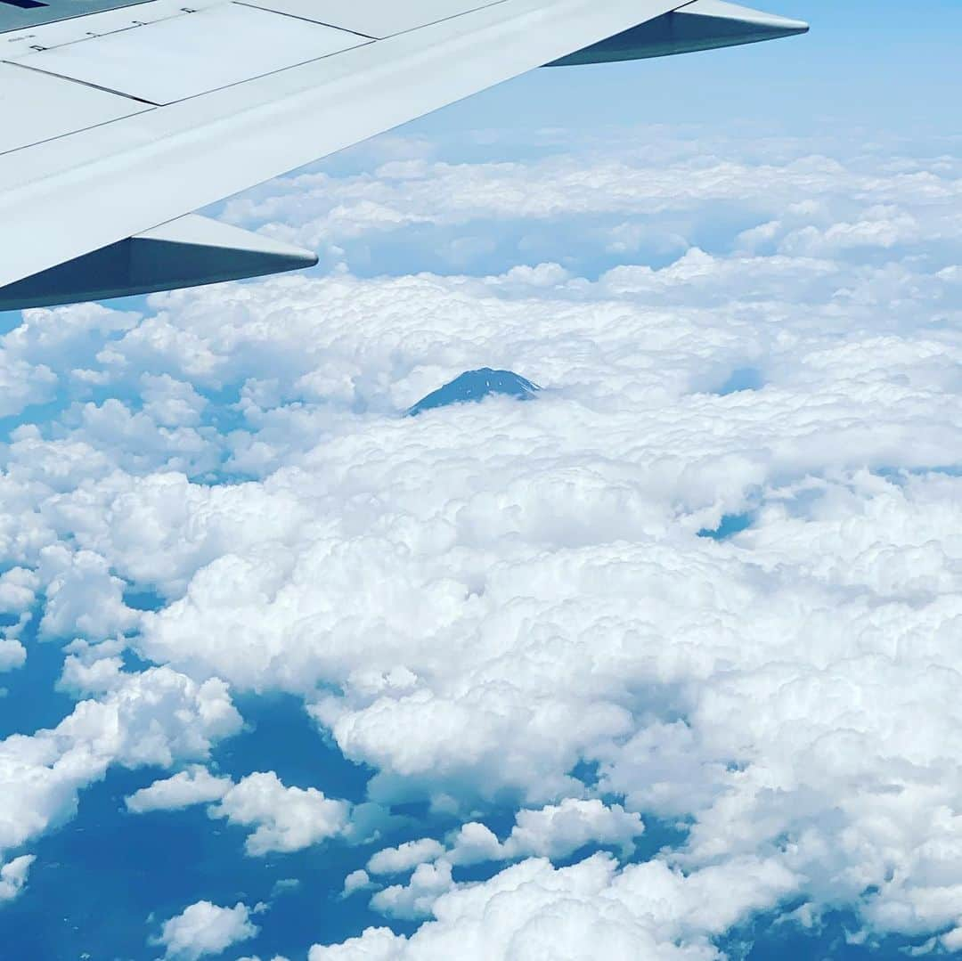 大宮エリーさんのインスタグラム写真 - (大宮エリーInstagram)「先日の飛行機✈️からの富士山🗻 頭を雲の上に出し〜♪」7月2日 12時37分 - ellie_omiya