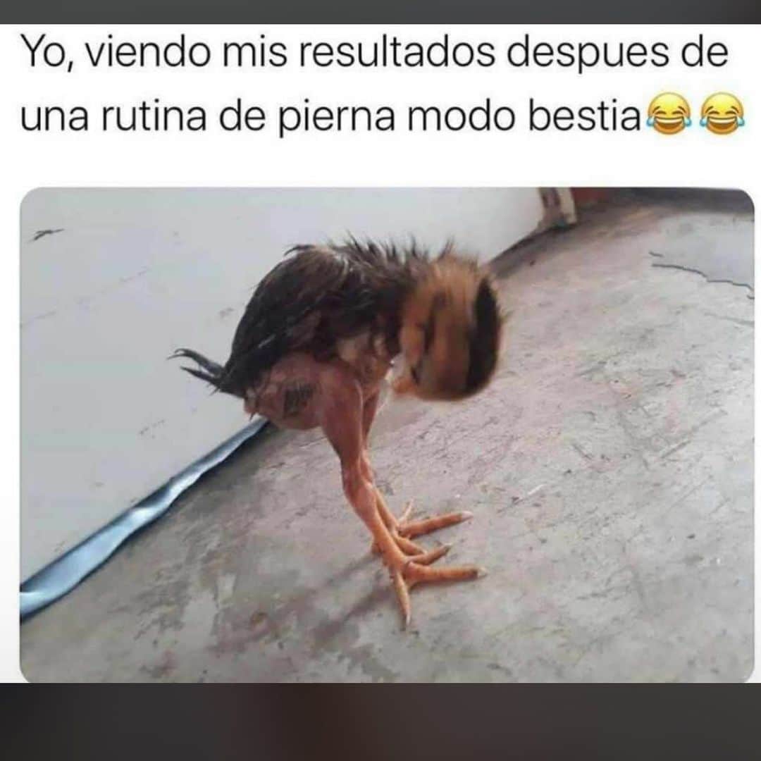 ホセ・レイエスのインスタグラム：「Modo bestia......taggea🤣🤣🤣」