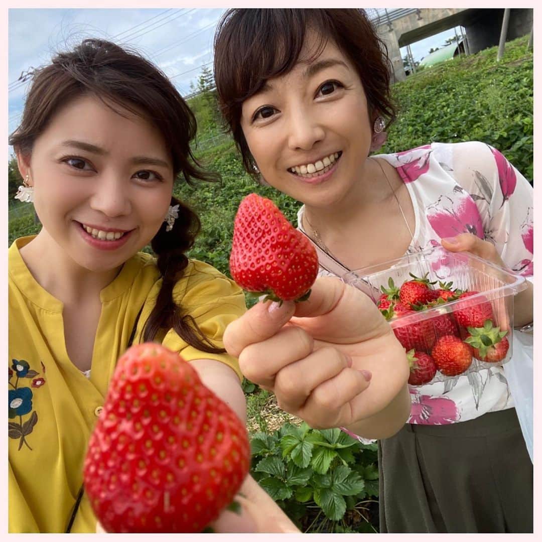 谷藤博美のグルメインスタ