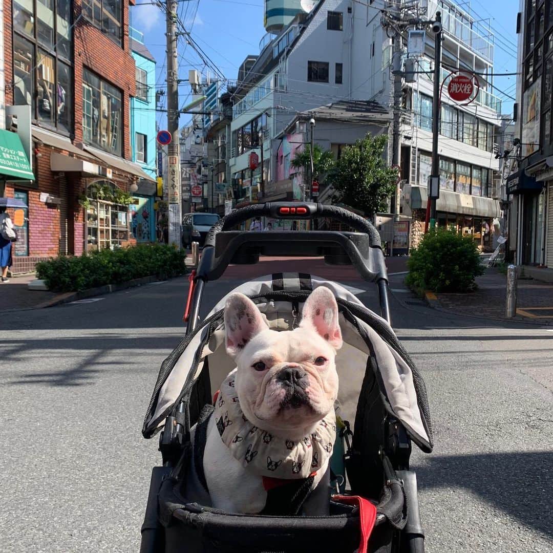 なべやかんのインスタグラム