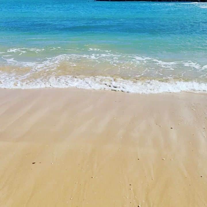 瀬川慶のインスタグラム：「July already!  Water has been so clear and cleansed, let's keep it up! あっと言う間に７月、いつも以上にキレイなビーチ。観光業再開してもキープしよう!  #hawaii #aloha #alamoanabeach #oahu #honolulu #covid19hawaii #summeralways #ハワイ #アロハ #アラモアナビーチ #おうちでハワイ #コロナに負けるな #常夏 #オアフ #ホノルル」