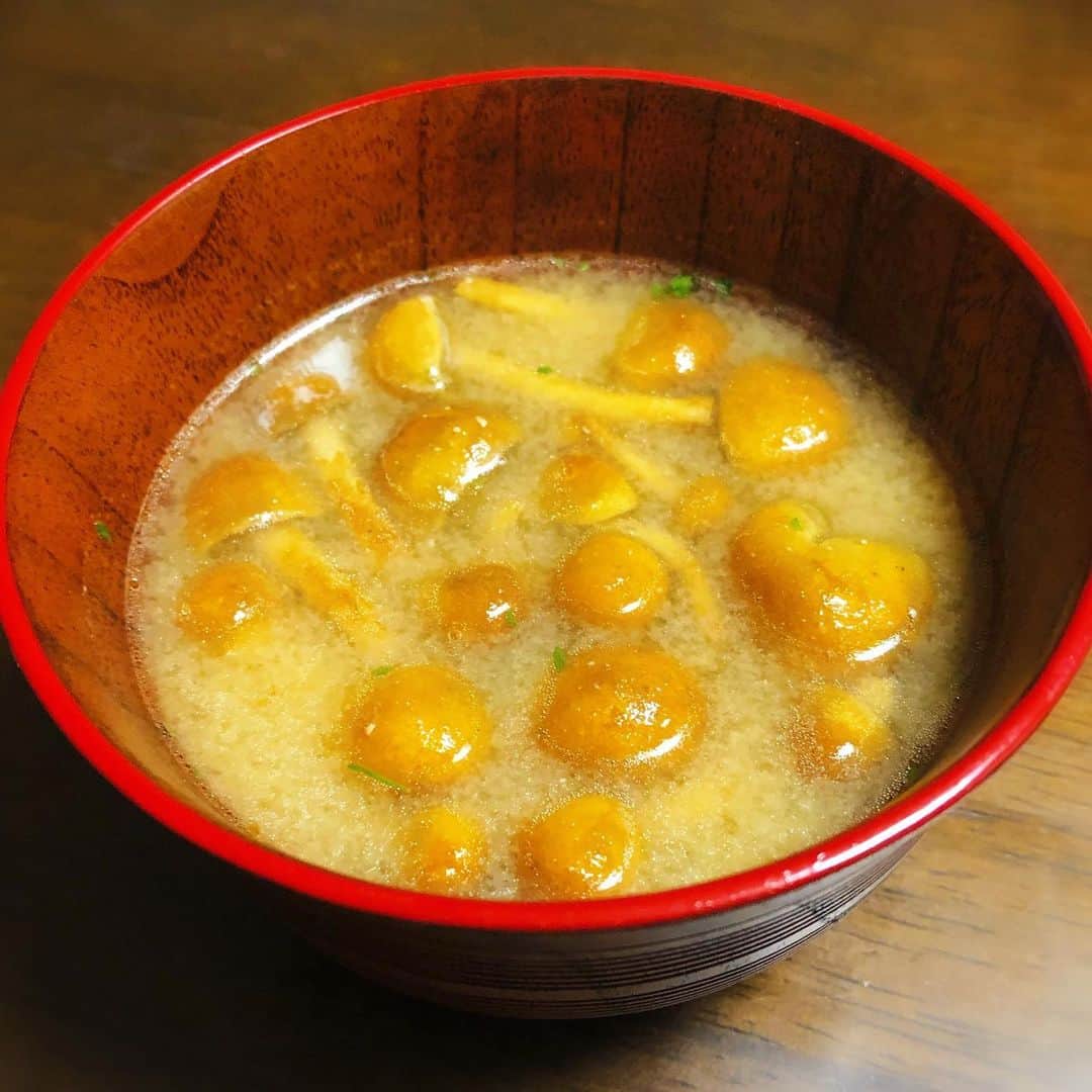 佐古真弓さんのインスタグラム写真 - (佐古真弓Instagram)「今夜は昨日販売所で手に入れた新鮮野菜から 大獅子唐の肉詰め、大なめこのバター炒め、マッシュルームのカルパッチョ&胡瓜の浅漬け。 獅子唐の味が濃ゆいいい！豚肉に下味付けただけだけでちょっと心配だったけど何も足さなくて正解👍 マッシュルーム大のなめこは旨味も香りも高くて歯応え楽しい！！ あ、胡瓜は近所のスーパーで買ったやつですっ醤油&胡麻油feat.生姜。 マッシュルームは、ちょっと良いオリーブオイルと粉チーズ、岩塩と胡椒をかけただけ。ワインがすすんで困るやつ！ 食べきれなかった大なめこバター炒めを味噌汁にしたら...  何これ、美味し過ぎるぅぅぅぅぅぅぅぅぅぅうううう！！！！  なめこの旨味とバターの風味を味噌さんが包んでくれて胃の中が優しさで溢れておる...！！！  美味しいは正義。 食いしん坊万歳🙌  #新鮮野菜 #きのこ料理 #きのこづくし #おうちごはん #おうちのみ」7月2日 20時45分 - _sacomayumi_