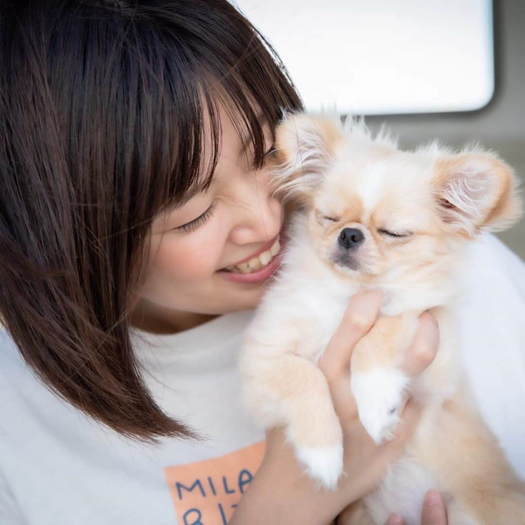 下平夏奈さんのインスタグラム写真 - (下平夏奈Instagram)「こんばんは！ いよいよ下半期がスタートしましたね☆  いつも温かいコメントや 沢山のいいねで応援してくださり ありがとうございます！  フォロワーのみなさんのおかげで 楽しく更新させていただいています☆ : : 先日、@piiinostagram のアカウントの方で ピノを家族に迎え、 犬のいる暮らし初心者の私が持つ 悩みを相談させていただいた時に 親身になって 自身の経験をコメントしてくださる 先輩ママさん🐶✨が沢山いらっしゃいました。  本当に心があったかくなる出来事ばかりで、 改めて SNSの繋がりの凄さを感じております。  今日は、ピノを迎えてから感じたことを 書きたいと思います。  犬の寿命は平均10〜15歳と 人に比べるとすごく短くて あっという間の人生(犬生)です。  その中で、どれだけ愛犬との 思い出をつくれるか考えた時に 家で戯れる時間も幸せなひとときですが、  家の外に出て、たくさんの新しい体験や ワンちゃんとの繋がり、 愛犬の新しい一面を見れた時は 愛犬にとっても、飼い主さんにとっても すごく嬉しいことではないかなと思います。  あの時、こんな経験したよね！と 思い出を家族で語り合えるのも 凄く素敵だなと思います。  そんな思い出がつくれる場所を 手作りしたい！という思いで 現在、#犬もふ会 という企画を進めており ワンちゃんと飼い主さんが 楽しい時間が過ごせて、 犬好きな人と繋がれる 人数限定のオフラインのイベントを 企画しています🍀  開催場所は 先日 #嵐にしやがれ や #王様のブランチ に取り上げられた 東京の新宿区の#MKCAFE を予定しております✨  ご興味のある方は、 ぜひ頭の片隅に覚えておいて いただけたら嬉しいです🐶 (今年の8月頃、開催予定)  また詳細が決まりましたら ご連絡させてください♪ : : #犬好きな人と繋がりたい #犬カフェ #犬もふ会 #ドッグイベント #MKCAFE #企画 #犬のいる暮らし #愛犬家 #ドッグウェア #ペキチワ #里親募集 #ミックス犬 #新宿 #東京イベント #イベント情報 #もふもふ #dog  #スポンサー募集 #doglife #love」7月2日 20時58分 - kana0412.sss