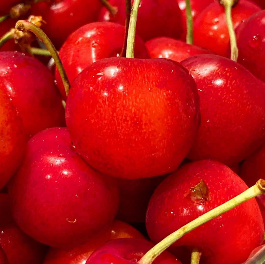vo_coのインスタグラム：「🍒 山形県村山市から、赤い宝石が届きました〜 紅秀峰！ 個人的には佐藤錦より甘くて美味しい！ ありがとうございます！ * #ふるさと納税返礼品  #さくらんぼ #🍒 #紅秀峰」