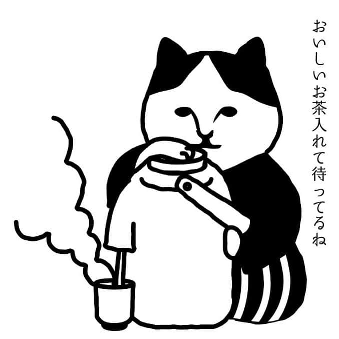 ねこのインスタグラム