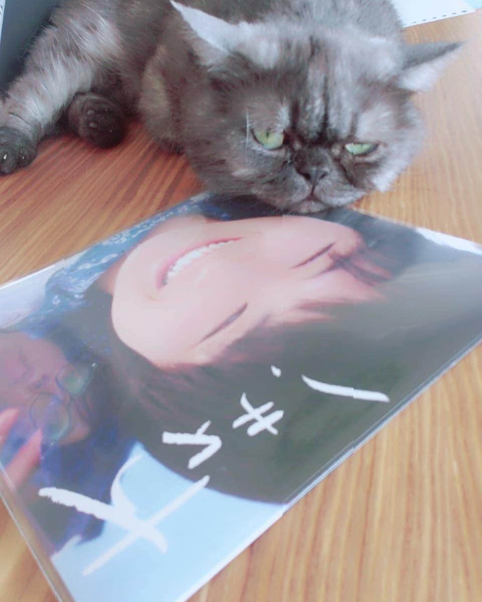 岡本真夜のインスタグラム