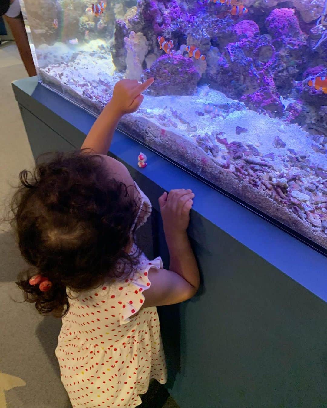 トムセン陽子さんのインスタグラム写真 - (トムセン陽子Instagram)「今週月曜はベリのリクエストでしながわ水族館へ。私は🐟にそんなに興味がないのだけど、いざ行くと見たこともないような🐟たちがスイスイ泳いでいて、とても楽しめました。ベリは色とりどりの🐟に夢中。目が釘付けに（笑）。ちょっと遠かったけど、行ってよかった♡ 母娘のデートがだんだん友達みたいになってきて楽しいです。 . . . #また行こうね #母娘デート #しながわ水族館 #レトロでよかった #夏の水族館は涼しくていいね」7月2日 14時28分 - yokothomsen