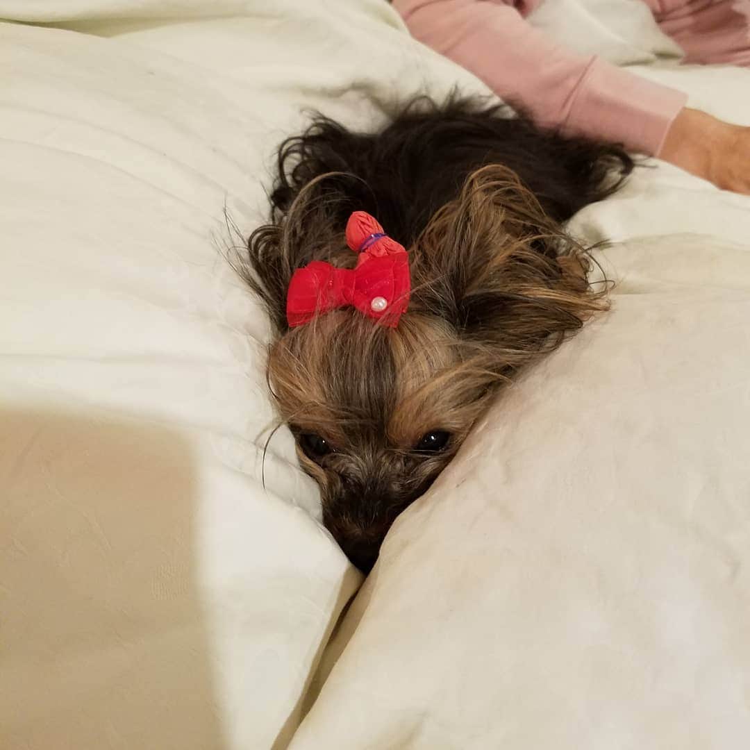 モト冬樹のインスタグラム