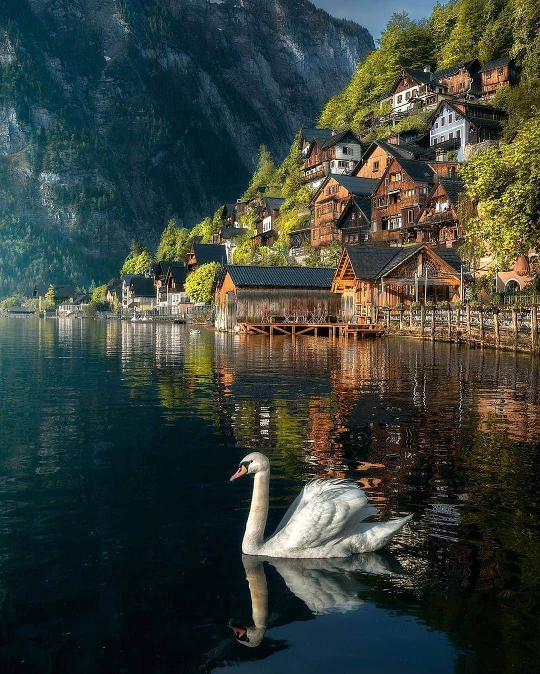 BEAUTIFUL DESTINATIONSさんのインスタグラム写真 - (BEAUTIFUL DESTINATIONSInstagram)「Hallstatt has become one of the most popular places to visit in Austria. 🇦🇹This is no surprise since the town is in a gorgeous location on Lake Hallstatt's western shore in Austria's mountainous Salzkammergut region. Tag a friend who'd love to visit! (📸: @ilhan1077 📍: Hallstatt, Austria)」7月2日 21時55分 - beautifuldestinations