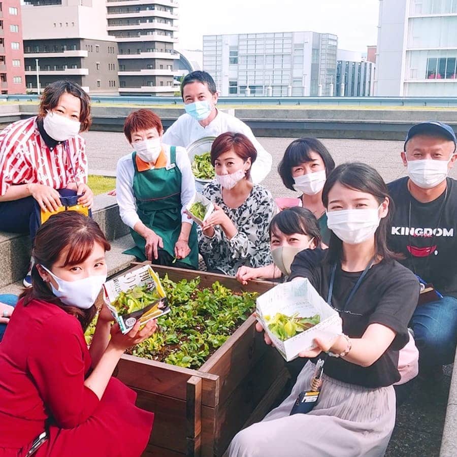 池尻和佳子さんのインスタグラム写真 - (池尻和佳子Instagram)「エコディレクター、松井さんに声をかけてもらい、育ったベビーリーフ摘み取り作業のお手伝いをさせてもらいました🍀  しっかりした甘味があって美味しかったです‼️‼️  社内に菜園があるなんて素敵ですよね❇️  #るるるるーるる #ガーデン #garden #rkb #菜園#エコ」7月2日 16時57分 - wakako_ikejiri_rkb