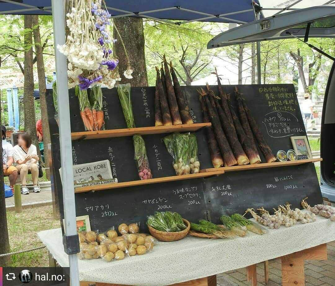 兵庫県のインスタグラム