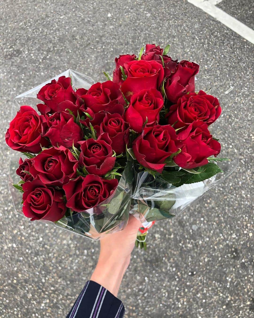 モード・ウェルゼンのインスタグラム：「Yesss 🌹」