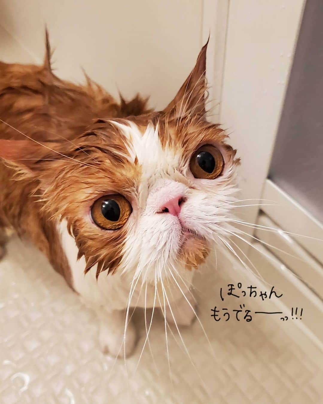 なっつ。のインスタグラム