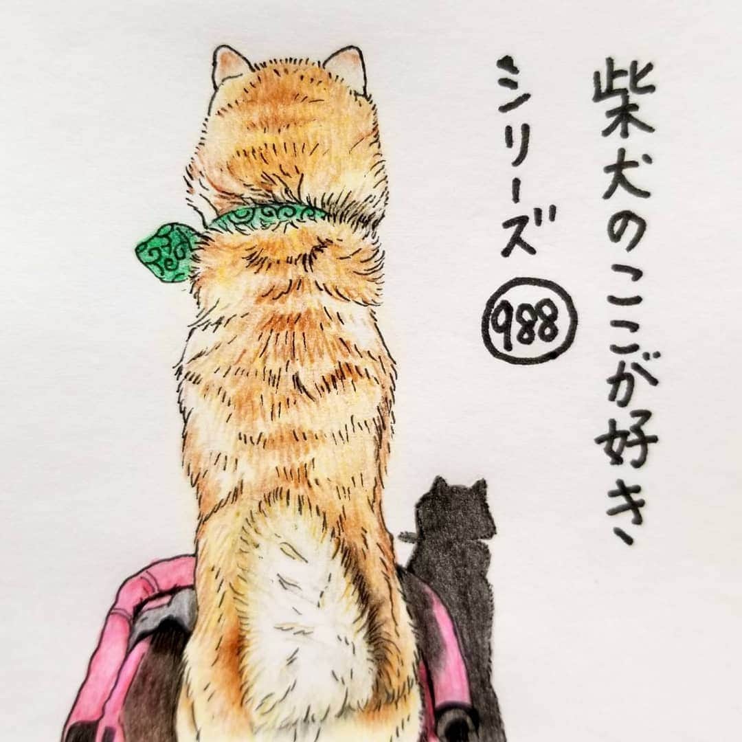 ハナとソラのインスタグラム