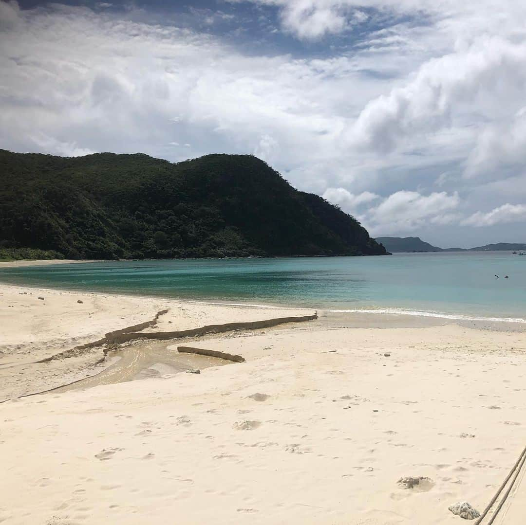 鳳真由さんのインスタグラム写真 - (鳳真由Instagram)「写真旅✈️② これはいつかの沖縄県渡嘉敷島。  信じられないくらい美しい海と空、そしてのんびりした猫さんたちと優しい人がいっぱいで  時間よ止まれ！！と思う位素敵な島でした。  しかし、悲しい歴史もあります。 写真にはありませんが第二次世界大戦中に集団自決があり、いまその場所には『白玉の塔』という慰霊碑が建っています。私もお参りしてきました。 こんな美しい島とその凄惨な歴史のギャップに胸が痛くなったのを覚えています。  渡嘉敷村の公式サイトにも集団自決について詳しく載ってますので、是非シェアしたいです。 忘れてはいけないですね！」7月2日 18時38分 - ootorispecialpanic