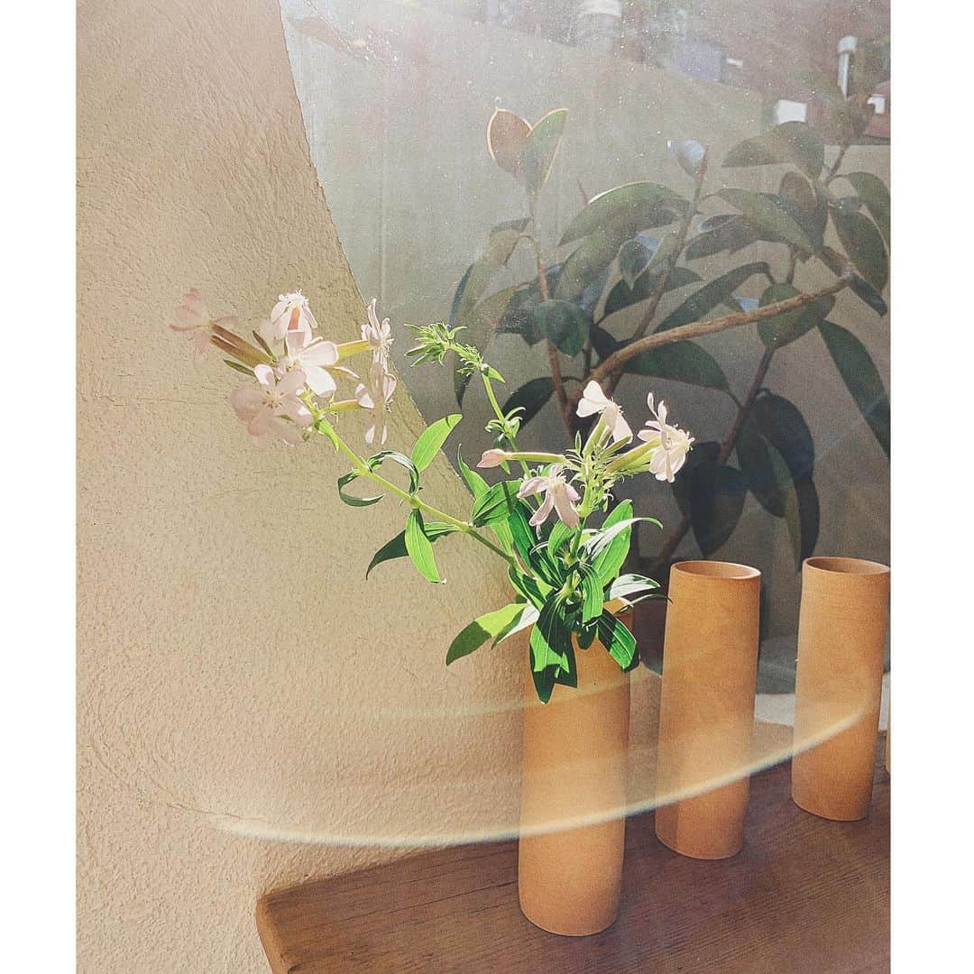 佐藤有里さんのインスタグラム写真 - (佐藤有里Instagram)「. . . 今日は太陽いっぱい浴びたから この明るい気持ちで明日もがんばろ☺️🌿 . . どきどきするなぁ💭 . . . #whole #flower #flowervases #ホウル #花 #お花屋さん」7月2日 18時56分 - yuri_212