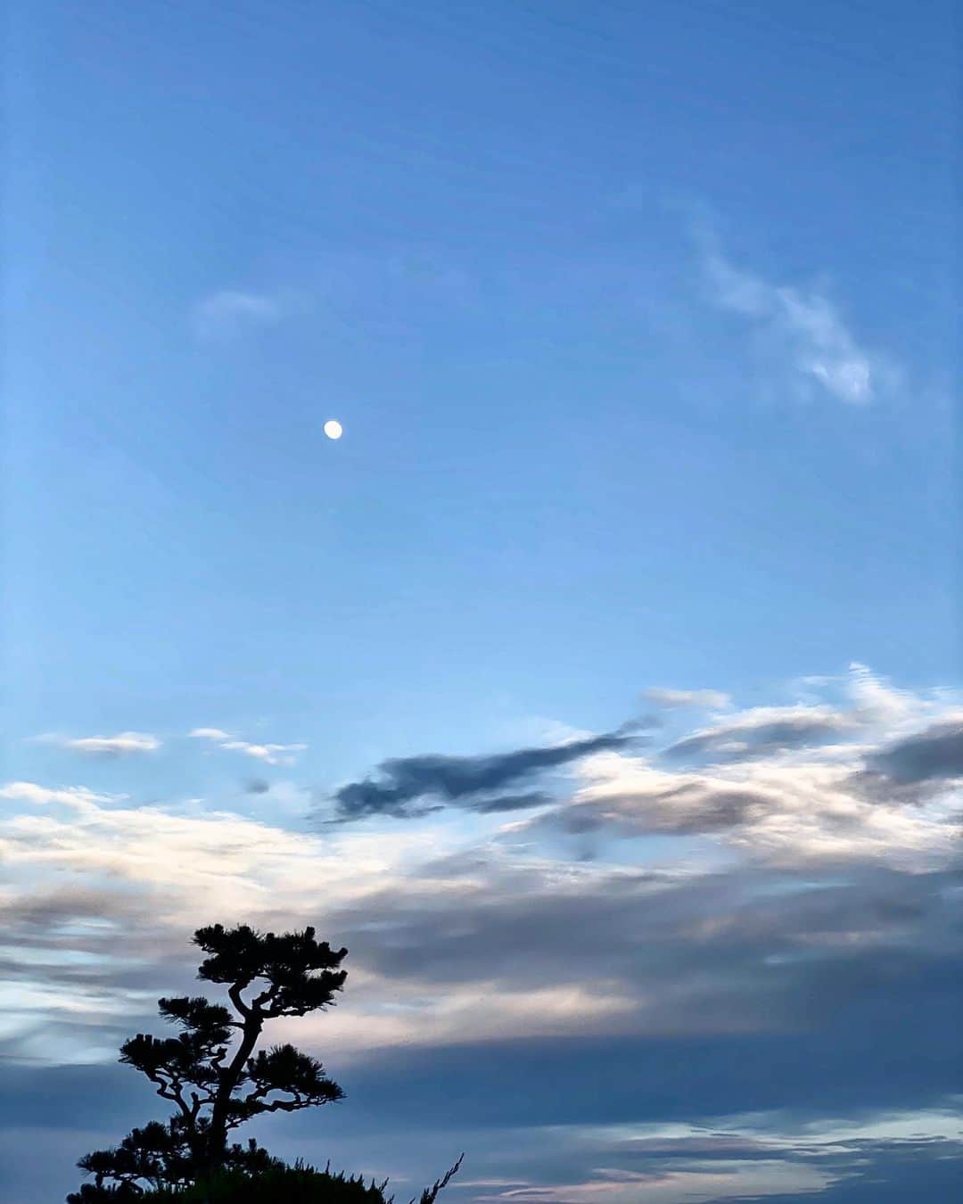 祥吉のグルメインスタ