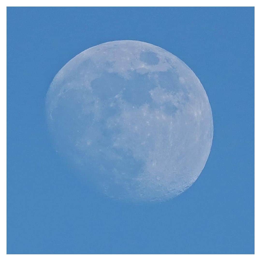 さだまさしさんのインスタグラム写真 - (さだまさしInstagram)「月齢11.1の月🌔 5日が満月（Buck Moon 〈牡鹿月〉）だそうですが、、、 さてお天気は？ . #月 #さだまさし #sadamasashi」7月2日 19時43分 - sada_masashi