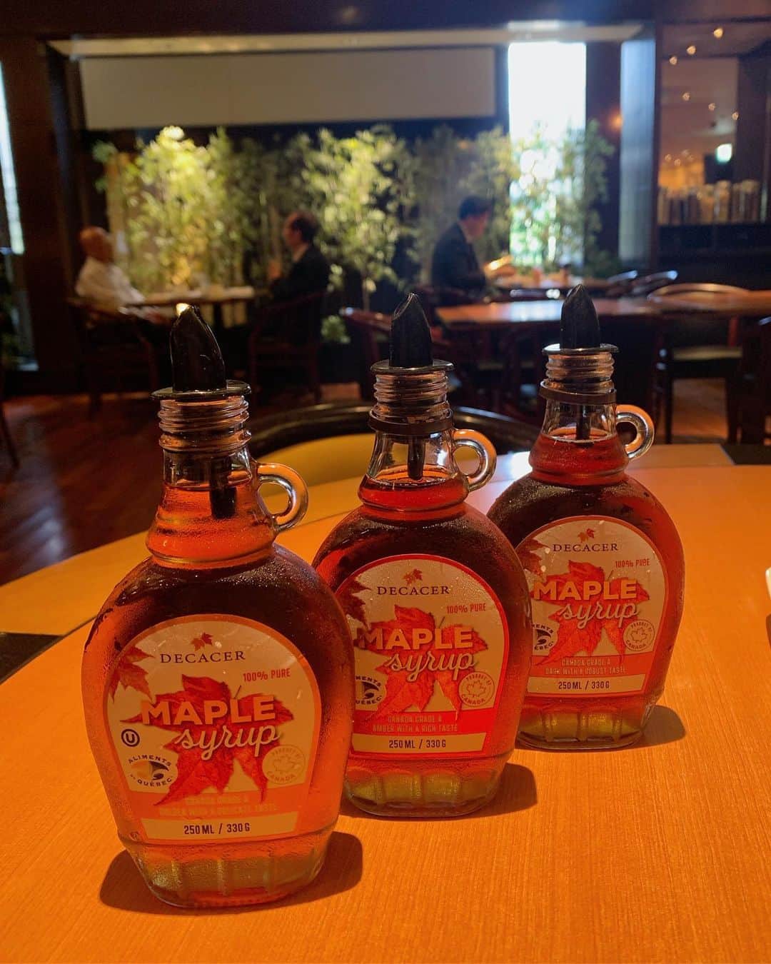 田中セシルのインスタグラム：「* 一番好きな食べ物は？ メープルシロップ🍁  お庭に楓の葉っぱがいたよ。 あ、もみじだね〜( ¨̮ ) え！？もう秋来ちゃうの？？」
