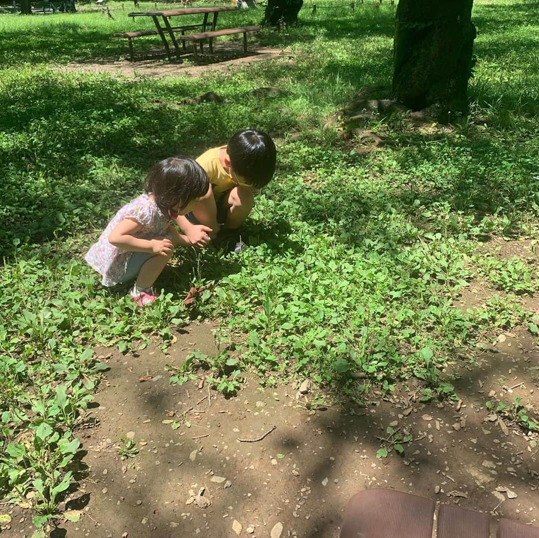 飯田圭織さんのインスタグラム写真 - (飯田圭織Instagram)「お天気のいい日でしたね✨ 子供達と公園へ行ってきました😊✨ 子供達の笑顔をたくさん見られて嬉しい時間でした😆❣️ #今日もお疲れ様でした  #家庭学習 がんばったよ #虫に夢中  #兄妹  #サイクリング  #幸せタイム」7月2日 19時53分 - iidakaori.official