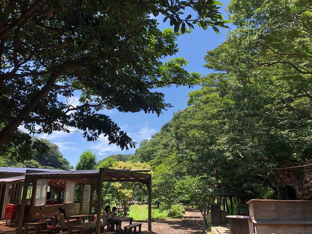 ヒデトレのグルメインスタ