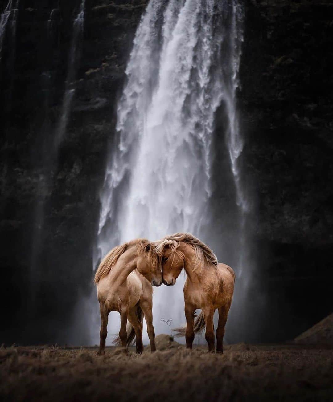 のインスタグラム：「Two brothers and a waterfall in Iceland 😍 Selected through the hashtag #cpfeatureme - use #cpfeatureme for a chance to be featured! Photography  @liga.liepinaa  Curated by @ianharper」